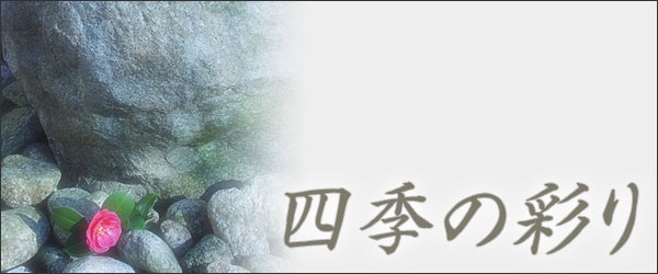 四季の彩り